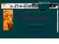 danseetsens.com