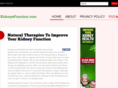 kidneysfunction.com