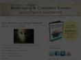 michiganbankruptcyinformation.com