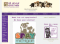spaymi.com