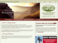 alleghenyinsurance.com