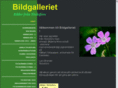 bildgalleriet.org