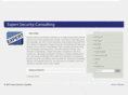 expertsecurity.com