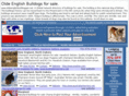 oldeenglishbulldogges.net