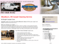 allbrightcarpetcare.com