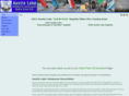 austinlakecatamaran.com