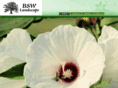 bswlandscape.com