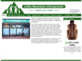littlemountainchiropractic.com