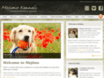 mejimo.com