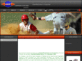 upperhand-sports.com