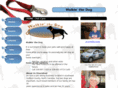 walkinthedognc.com