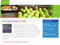 buildingatenniscourt.com