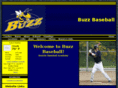 buzzbaseball.net