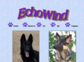 echo-wind.com