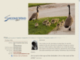 secondwindphotos.com