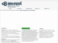 bahadirusa.com