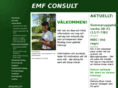 emfconsult.com