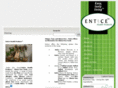 enticerice.com