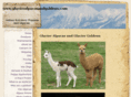 glacieralpacasandgoldens.com