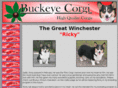 buckeyecorgi.com