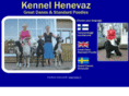 henevaz.com