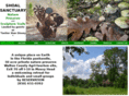 shoalsanctuary.com