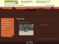 tycarver.com