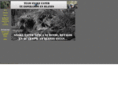 airsoftblanes.com