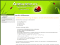 assassinix.de