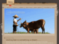 balivillagelife.com
