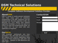 dsmsolutions.com
