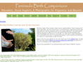 peninsulabirthcompanions.com