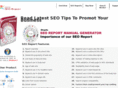 seoreportgenerator.com
