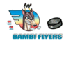 bambiflyers.com