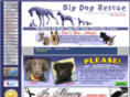 bigdogrescue.com