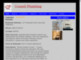 counsilplumbing.net