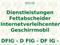 dfig.de