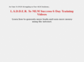 dynamicmlmtraining.com
