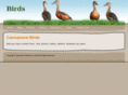jayanthomasbirds.com