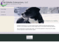 nlgenterpriseshome.com