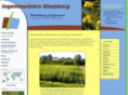 reed-bed-treatment.com