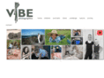 vibe-e-studio.com