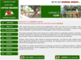 littleheartsplayhome.org