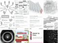 technologyvideographer.com