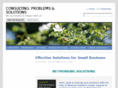 theconsultantcorner.com
