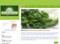 vishvajyoti.com