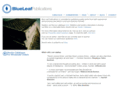 blueleafpub.com