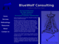 bluewolfconsulting.com