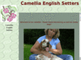 camelliaenglishsetters.com