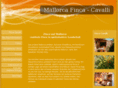 finca-mallorca-vermittlung.com